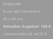 Magnolie_Beschreibung